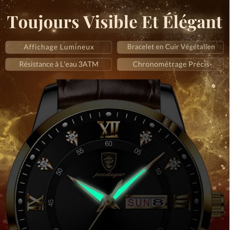 Montre Signature